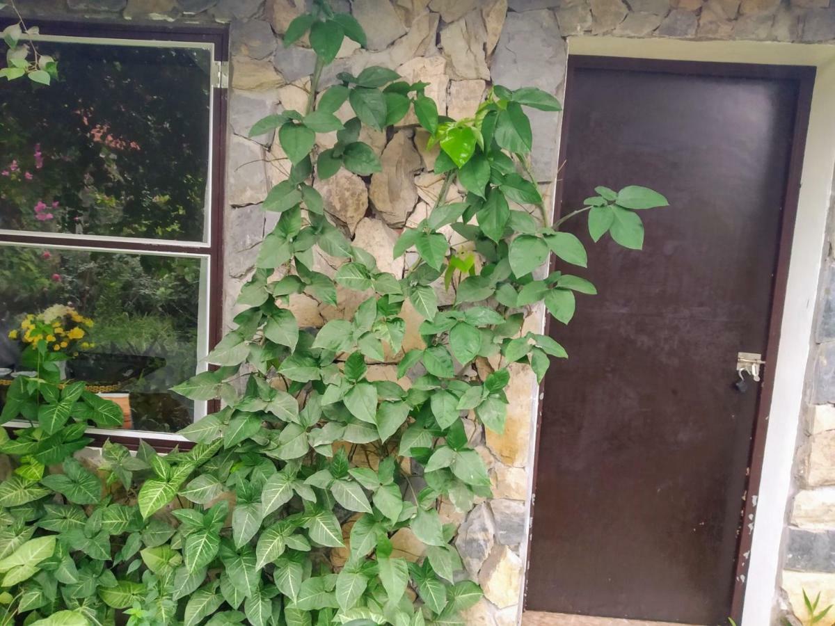 Mr. Viet Home Stay Нин Бин Екстериор снимка